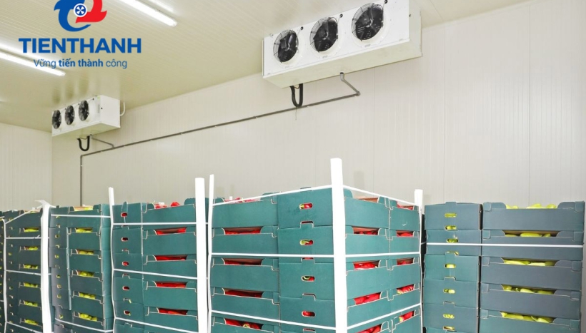 Kho lạnh nông sản cần có hệ thống thông gió và quạt hút không khí không?