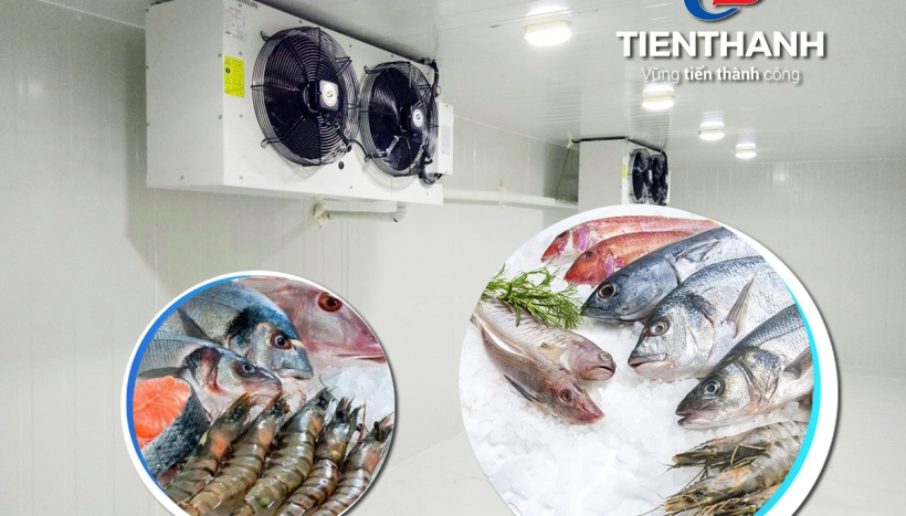 Các điểm cần lưu ý khi Lựa chọn loại thiết bị cho kho lạnh hải sản