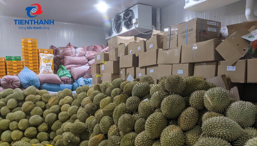 Làm thế nào để lựa chọn đúng thiết bị và công nghệ cho kho lạnh nông sản?