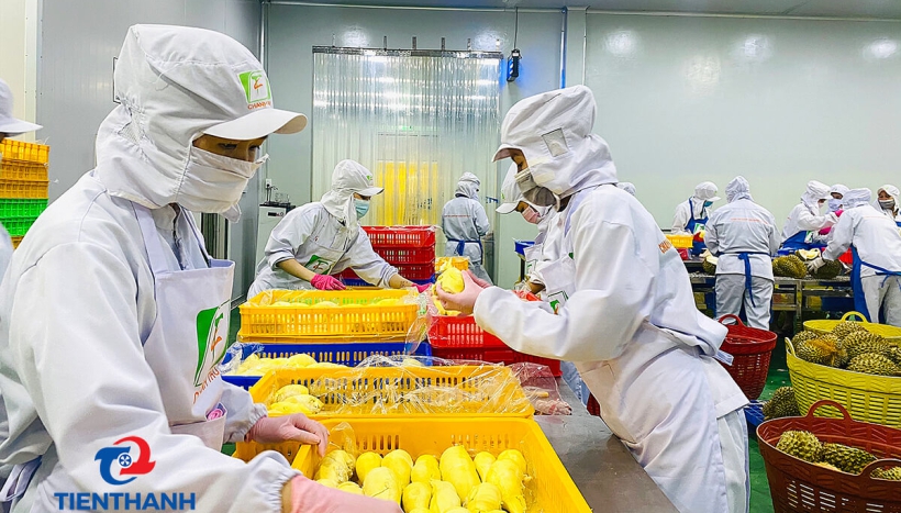 Vai trò quan trọng của cách nhiệt của kho lạnh trong bảo quản thực phẩm